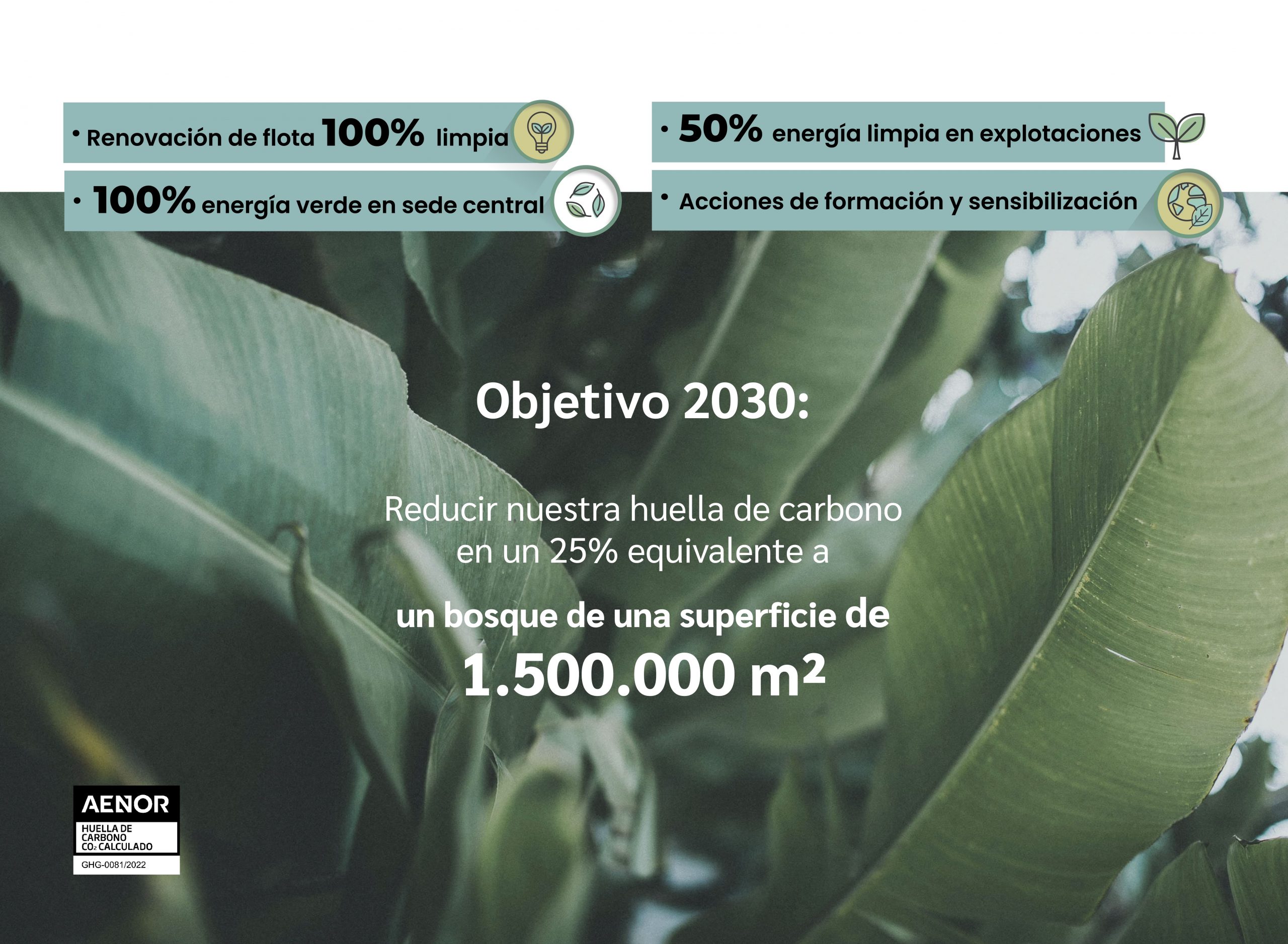 Plan de Acción - Objetivos huella de carbono